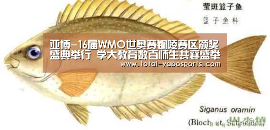 亚博-16届WMO世奥赛铜陵赛区颁奖盛典举行 学大教育数百师生共襄盛举(图1) Yabo亚博官方网站