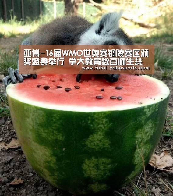 亚博-16届WMO世奥赛铜陵赛区颁奖盛典举行 学大教育数百师生共襄盛举(图2) Yabo亚博官方网站