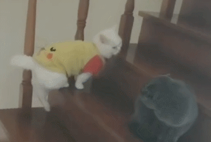Yabo亚博官方网站
