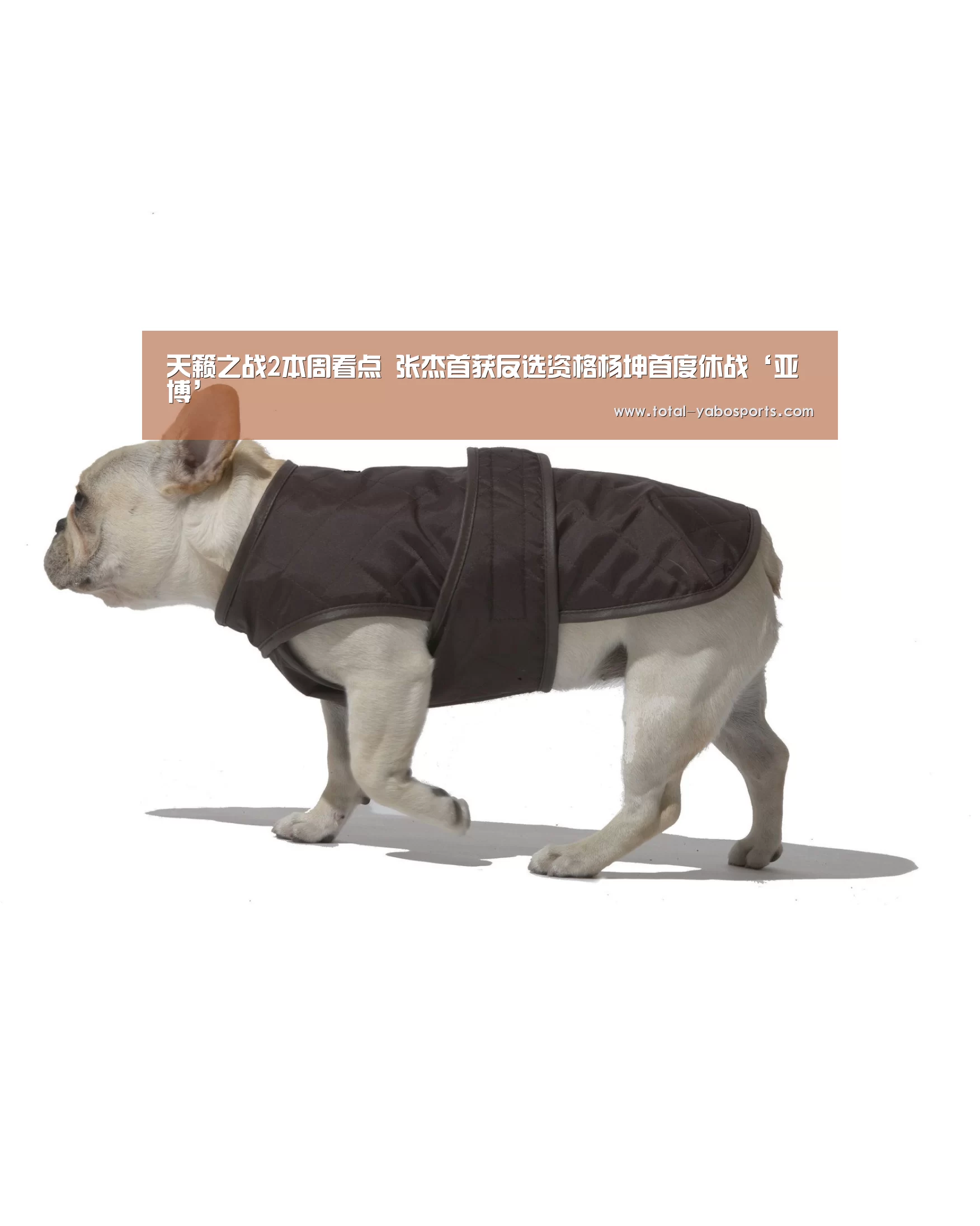 Yabo亚博官方网站
