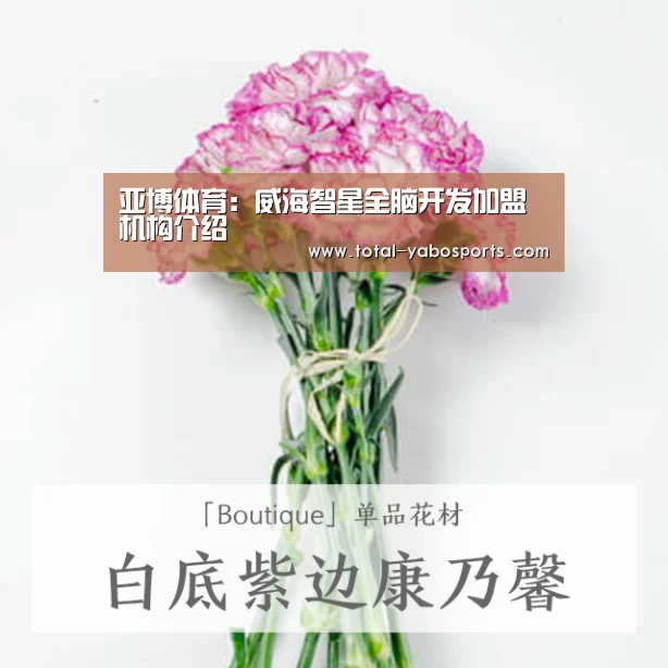 亚博体育:威海智星全脑开发加盟机构介绍(图1) 亚博体育