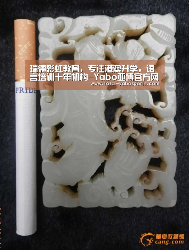 瑞德彩虹教育,专注港澳升学,语言培训十年机构-Yabo亚博官方网站(图4) 亚博体育
