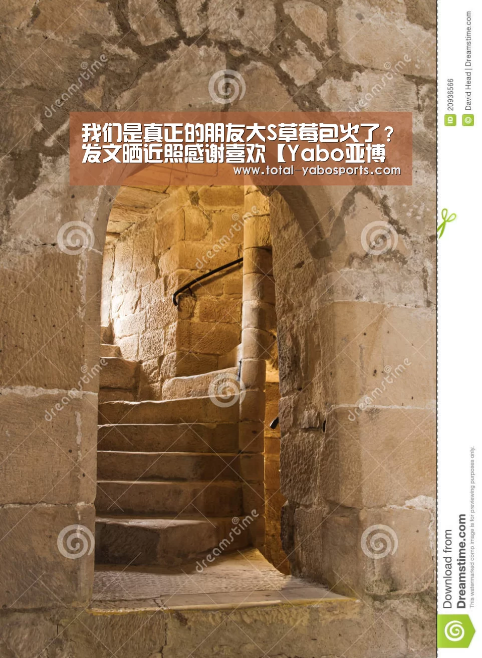 我们是真正的朋友大S草莓包火了?发文晒近照感谢喜欢【Yabo亚博官方网站】(图2) 亚博体育