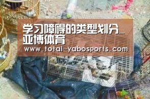 学习障碍的类型划分_亚博体育(图1) 亚博
