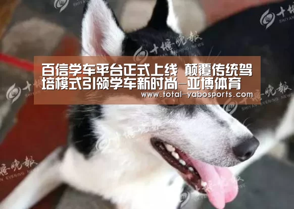 亚博体育