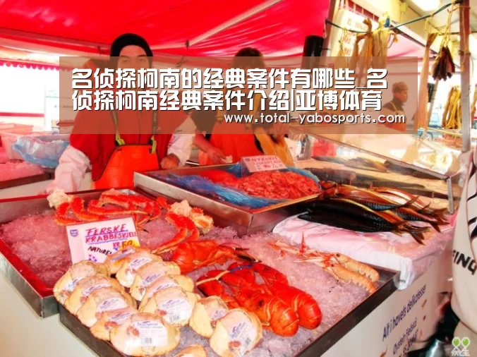名侦探柯南的经典案件有哪些_名侦探柯南经典案件介绍|亚博体育(图2) Yabo亚博官方网站