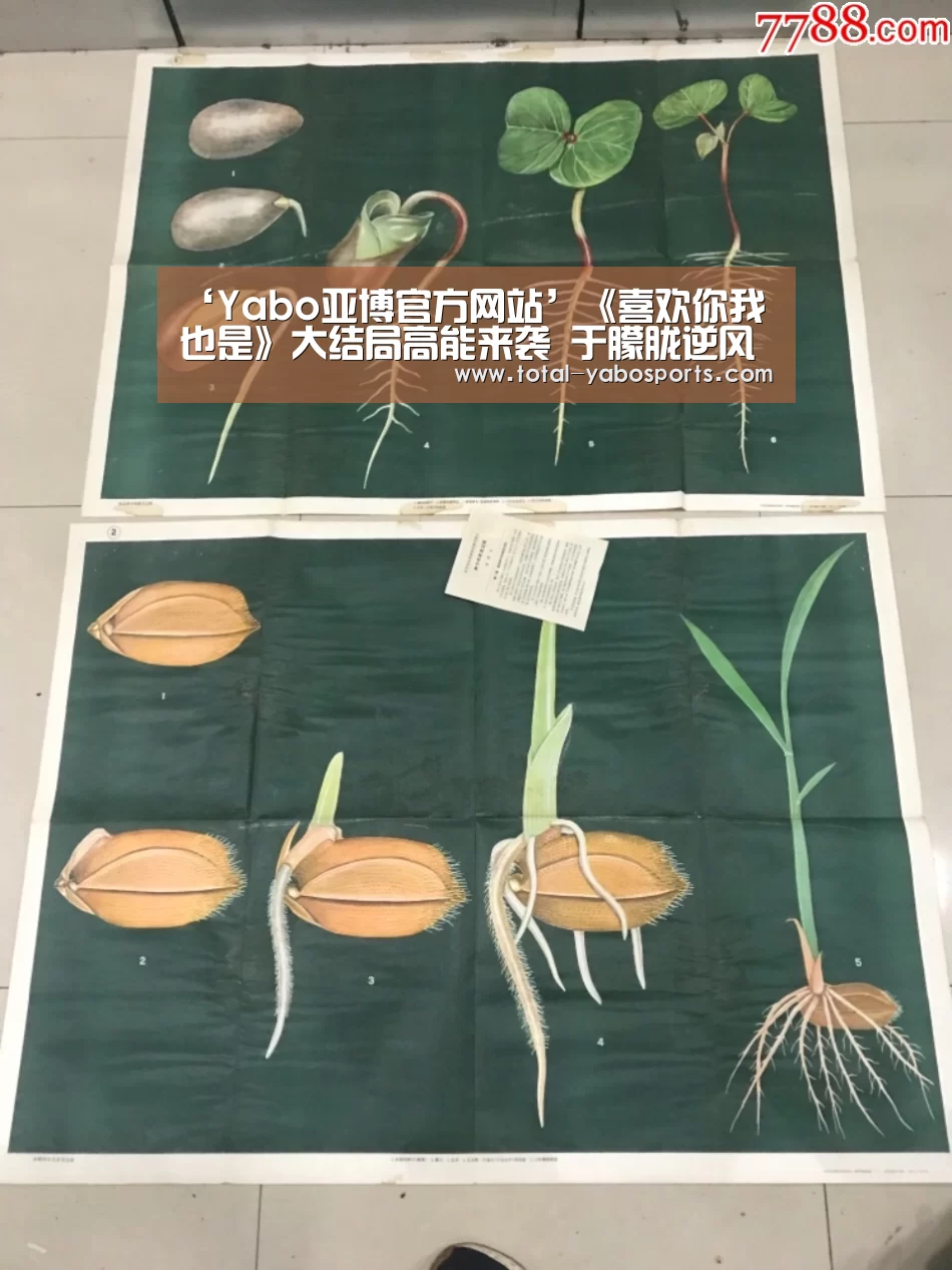‘Yabo亚博官方网站’《喜欢你我也是》大结局高能来袭 于朦胧逆风翻盘(图3) 亚博