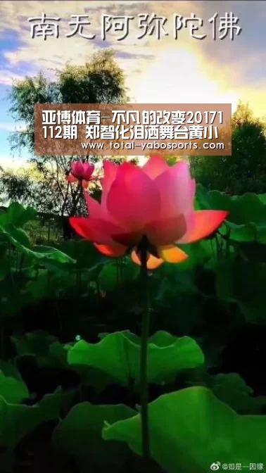 亚博体育-不凡的改变20171112期 郑智化泪洒舞台黄小琥再现经典(图4) 亚博